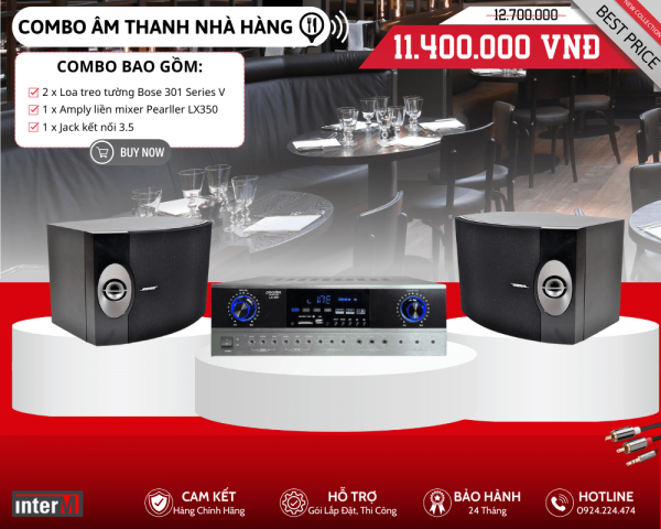 Bộ Loa Nghe Nhạc Cho Nhà Hàng - Bose 301 Series V