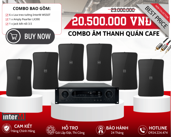 Loa Nghe Nhạc Cho Quán Cafe - Bộ Loa Treo Tường InterM WS50T