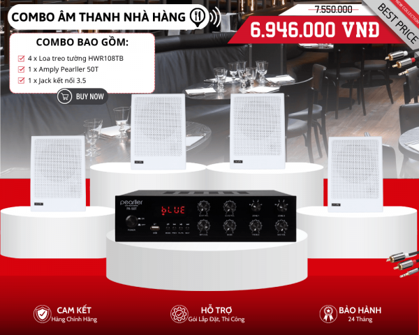 Bộ Loa Treo Tường Nhỏ Gọn Cho Nhà Hàng Pearller HWR108TB