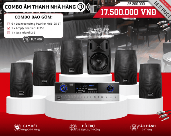 Dàn Loa Treo Tường Cho Nhà Hàng - 6 Loa Pearller HYB125-6T