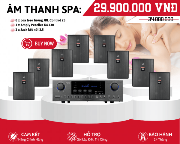Dàn Loa Treo Tường Nghe Nhạc Spa JBL Control 25 | Phân 4 Vùng Âm Thanh