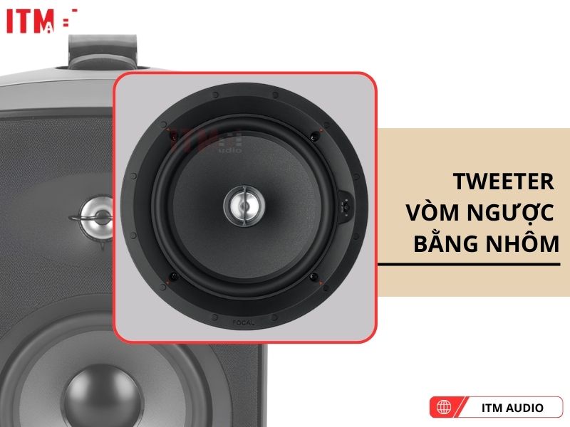 focal 100 od6 t dang mua