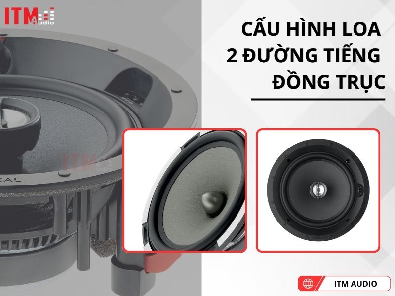 focal 100 icw6 cao cap