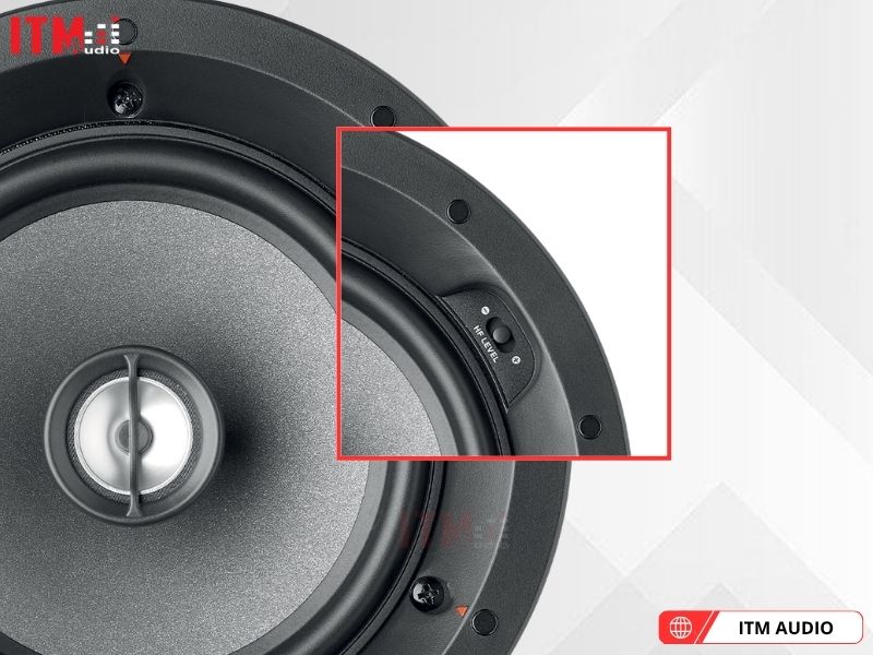 focal 100 icw6 chinh hang