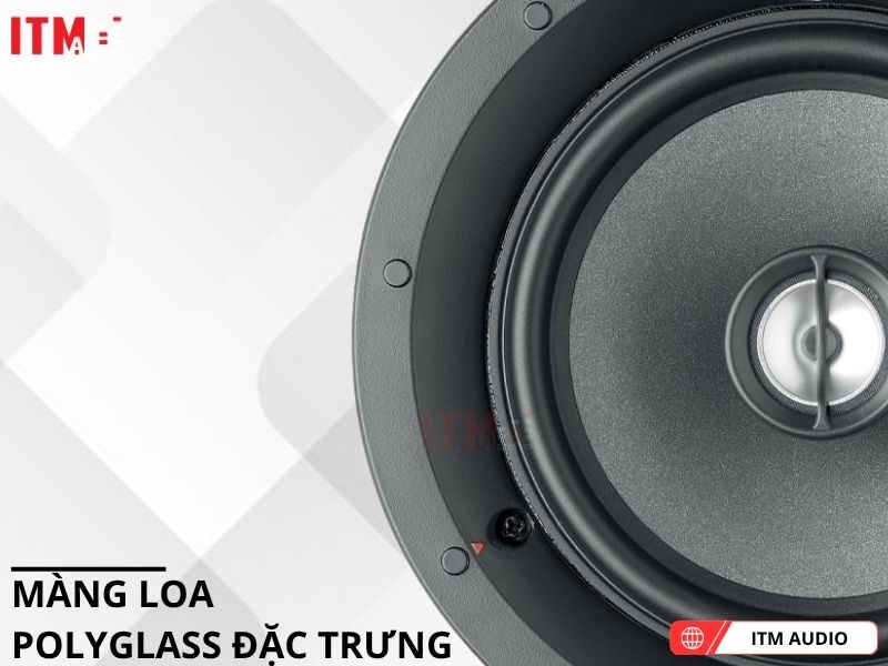 loa focal 100 icw6 ben
