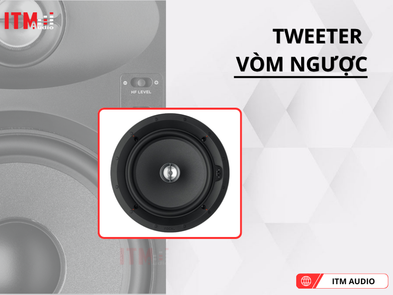 focal 100 iw6 hay