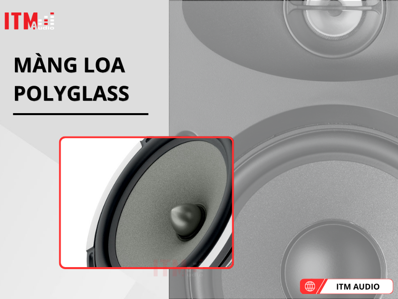 focal 100 iw6 nghe nhac