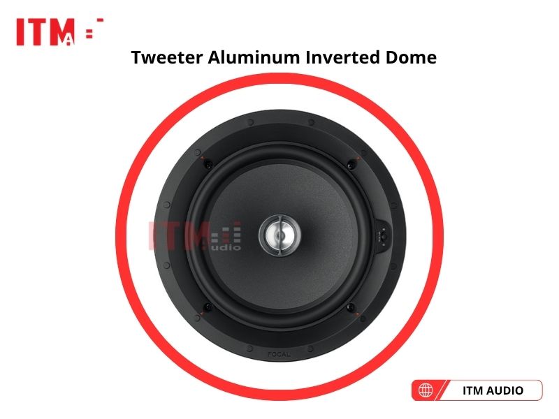 focal 100 ob8 t mua o dau