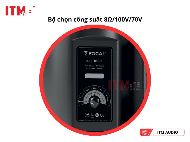 focal 100 ob8 t nghe nhac
