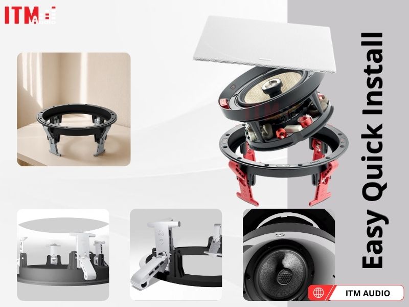 focal 1000 ica6 cao cap