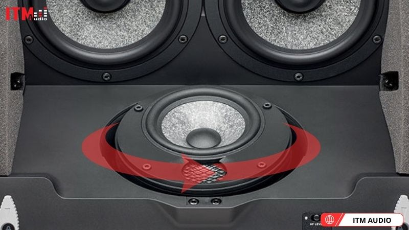 loa am tran focal 1000 iclcr5 (6)