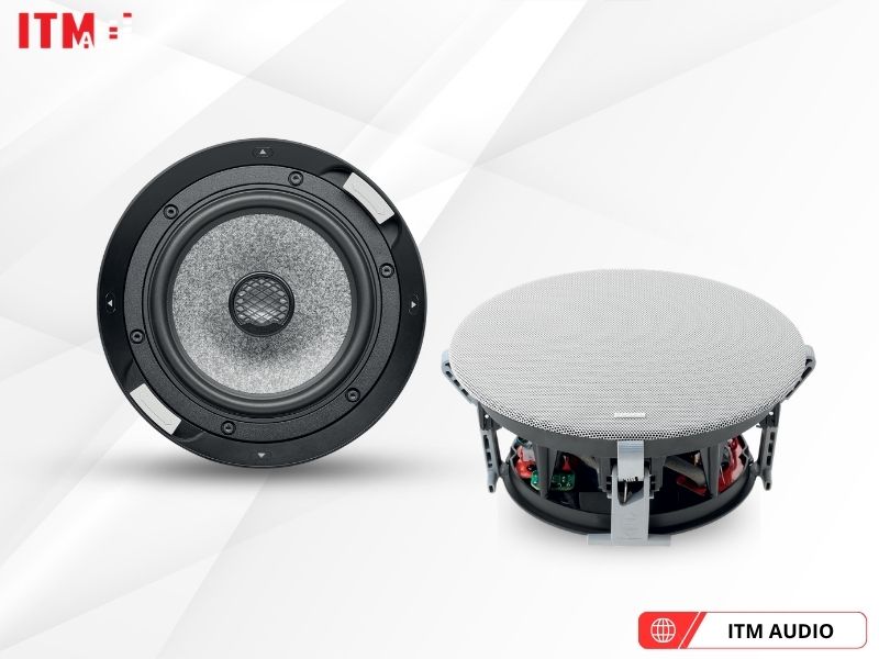 loa am tran focal 1000 icw6 (3)