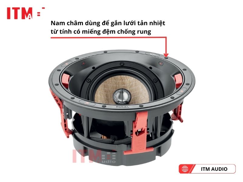 focal 300 ica6 cao cap