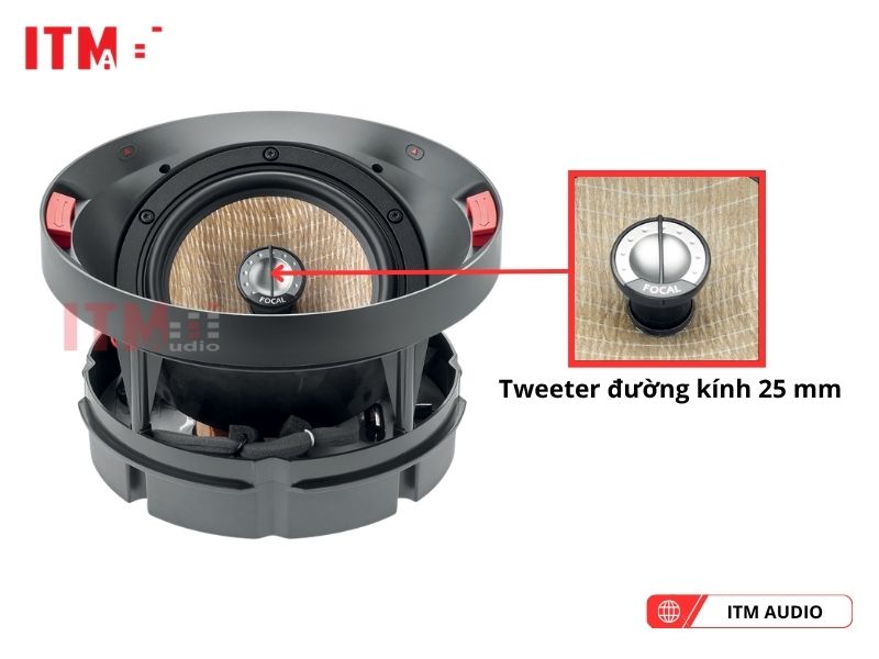 focal 300 ica6 cho showroom
