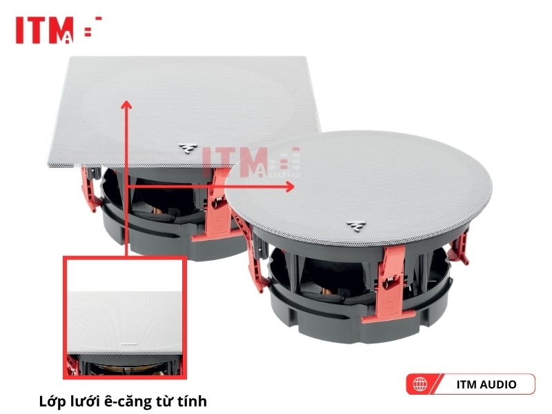 focal 300 ica6 mau trang