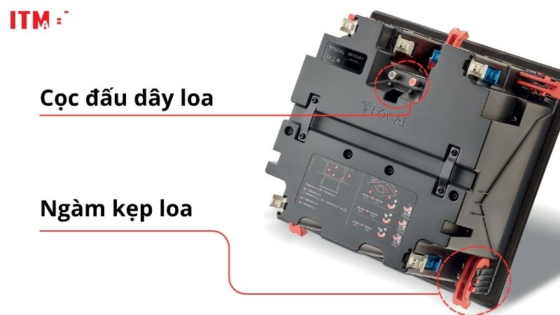 loa am tran focal 300 iclcr5 (3)