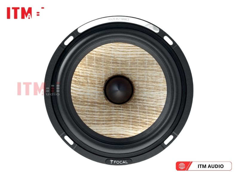 focal 300 icw4 ben bi