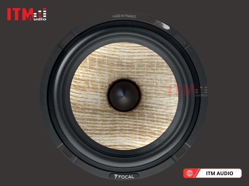 focal 300 icw4 chat luong