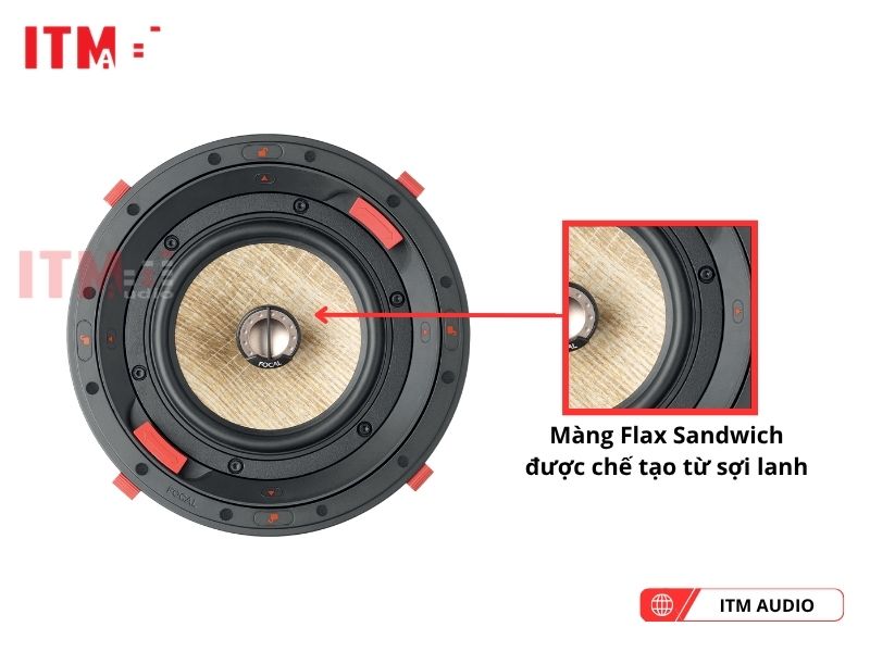 focal 300 icw6 tot