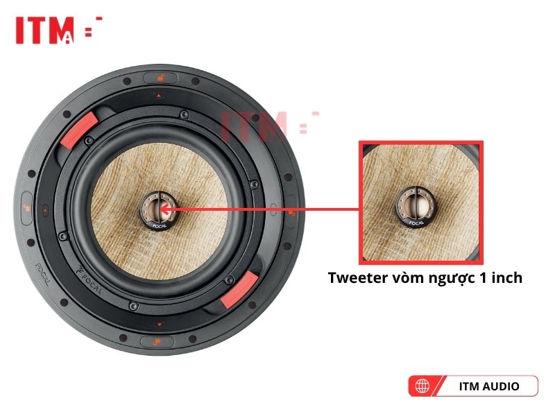 focal 300 icw8 ben bi