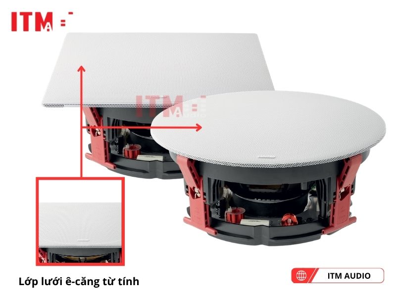 focal 300 icw8 mau trang