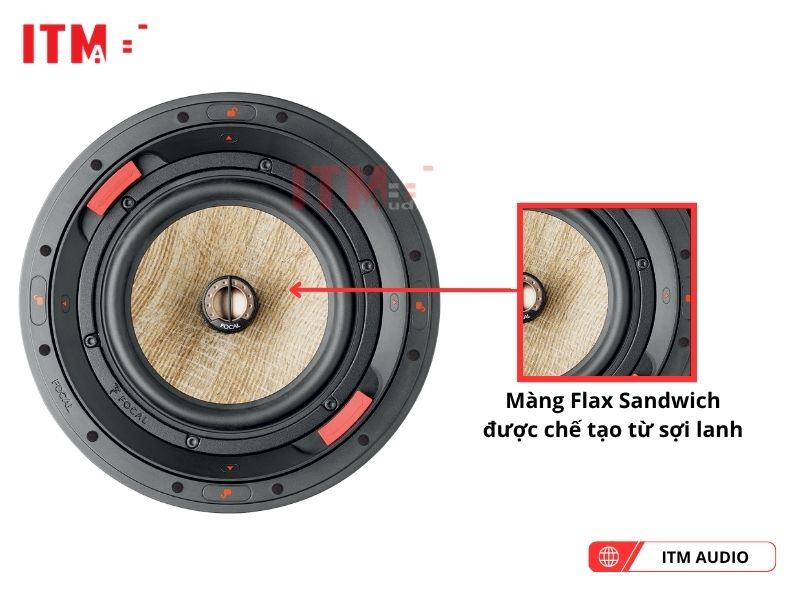 focal 300 icw8 cao cap