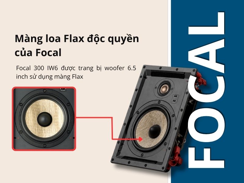 focal 300 iw6 chat luong