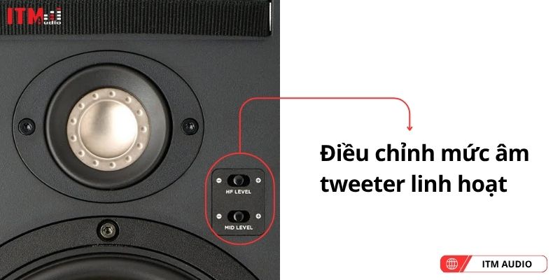loa am tuong focal 300 iw6 (5)