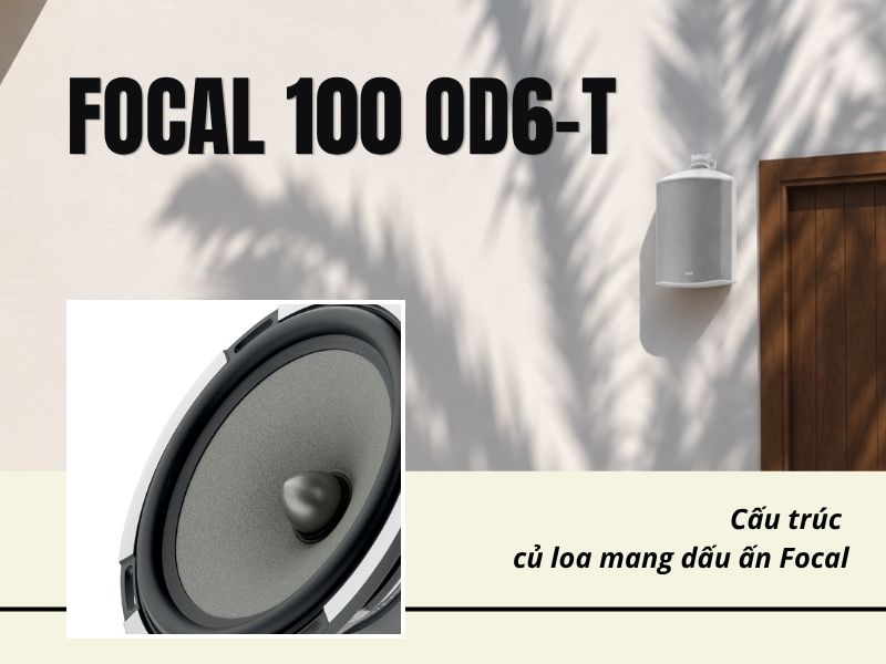 loa focal 100 od6 t dep