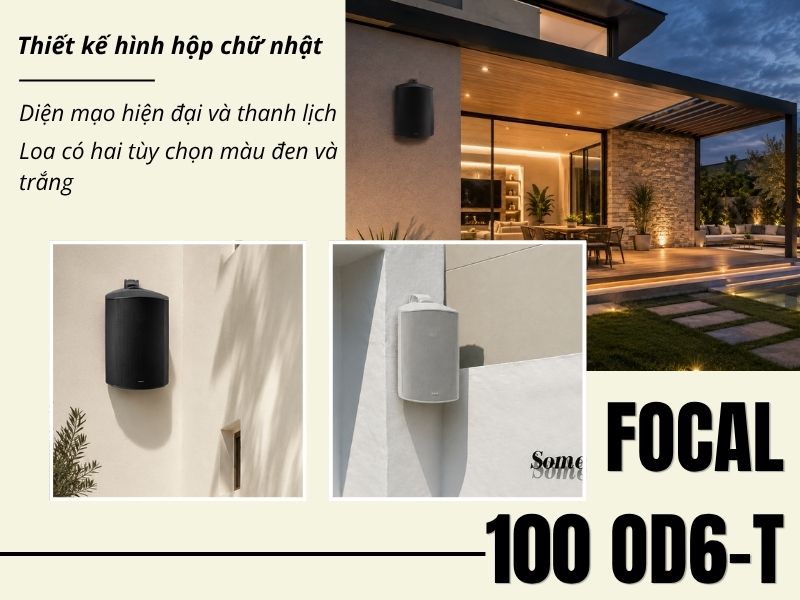 loa focal 100 od6 t