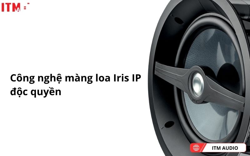 loa san vuon focal od sat 5 (3)