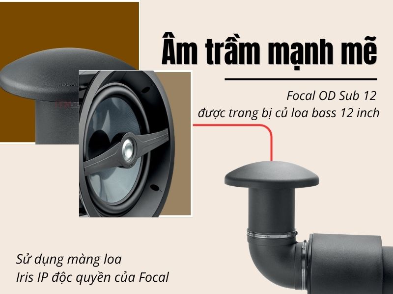 focal od sub 12 nghe nhac
