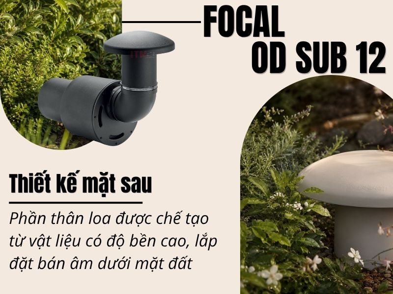 focal od sub 12 uy tin