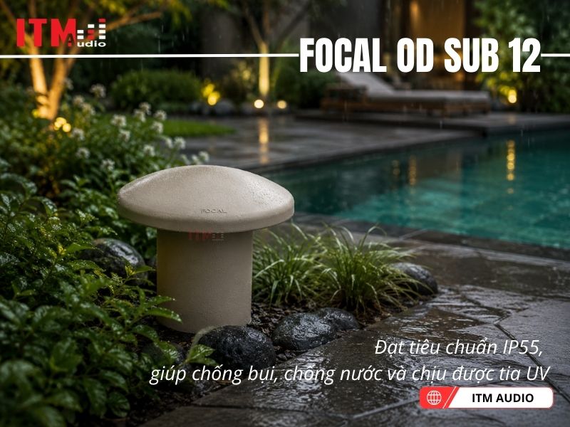 loa focal od sub 12 dep