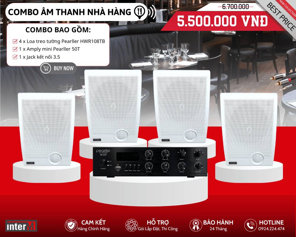 Bộ Loa Treo Tường Giá Rẻ Cho Nhà Hàng - Pearller HWR108TB