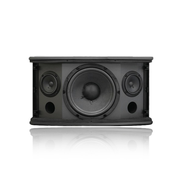 Loa Karaoke Pearller K16