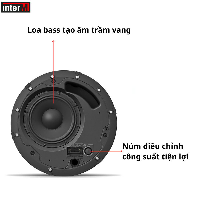 loa sub bose dm8c (1)