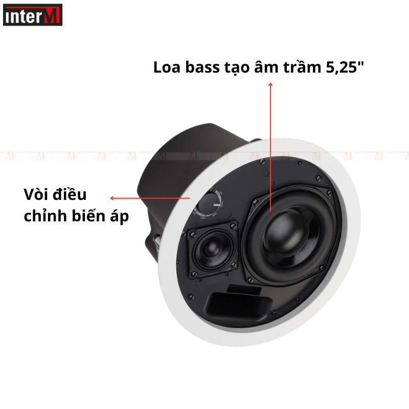 loa am tran bose ds 100f (3)