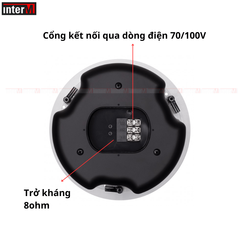 loa am tran bose ds 100f (4)