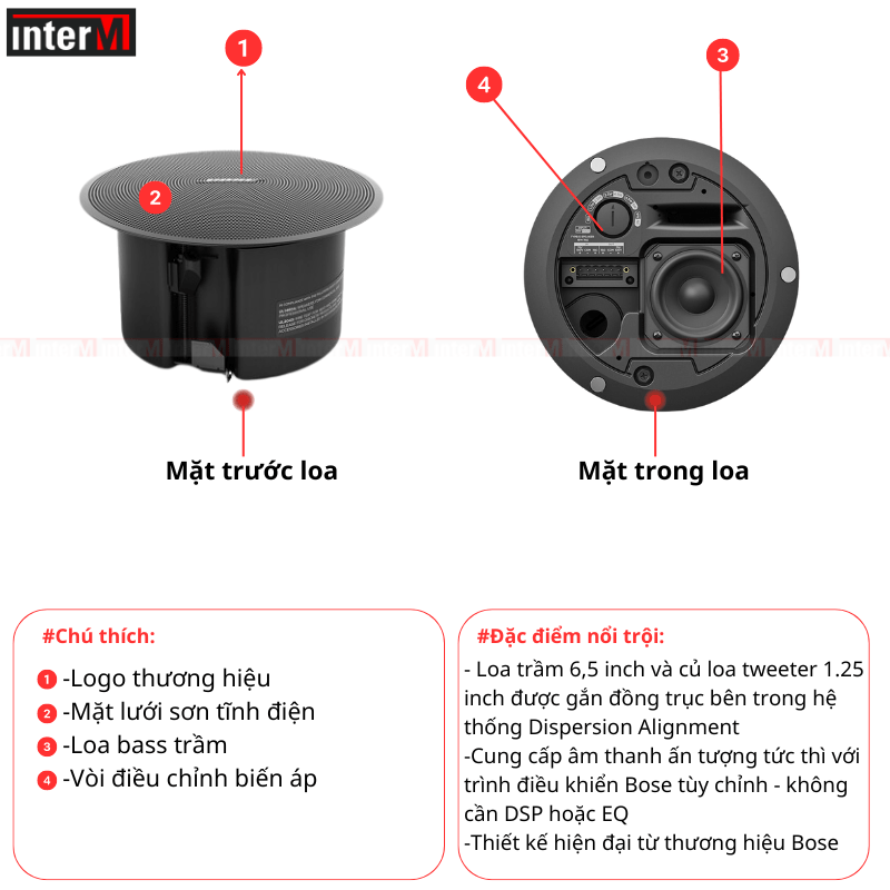 loa am tran bose dm2c (7)