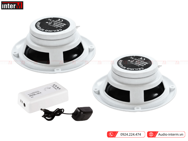 loa am tran pearller hsr119 bluetooth (3)