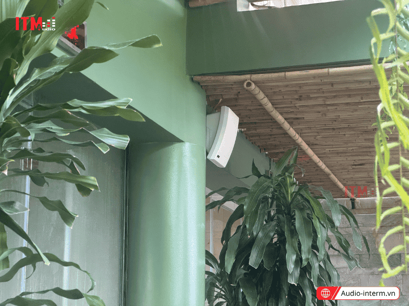 58 dàn loa nghe nhạc nền thương mại (3)