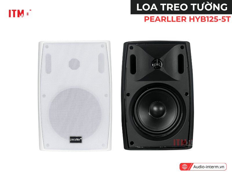 dàn loa treo tường nhỏ gọn (3)