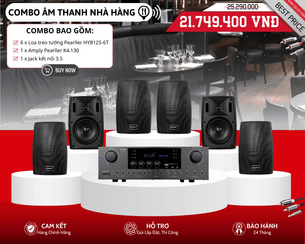 Bộ Loa Treo Tường Nghe Nhạc Cho Nhà Hàng | Pearller HYB125-6T