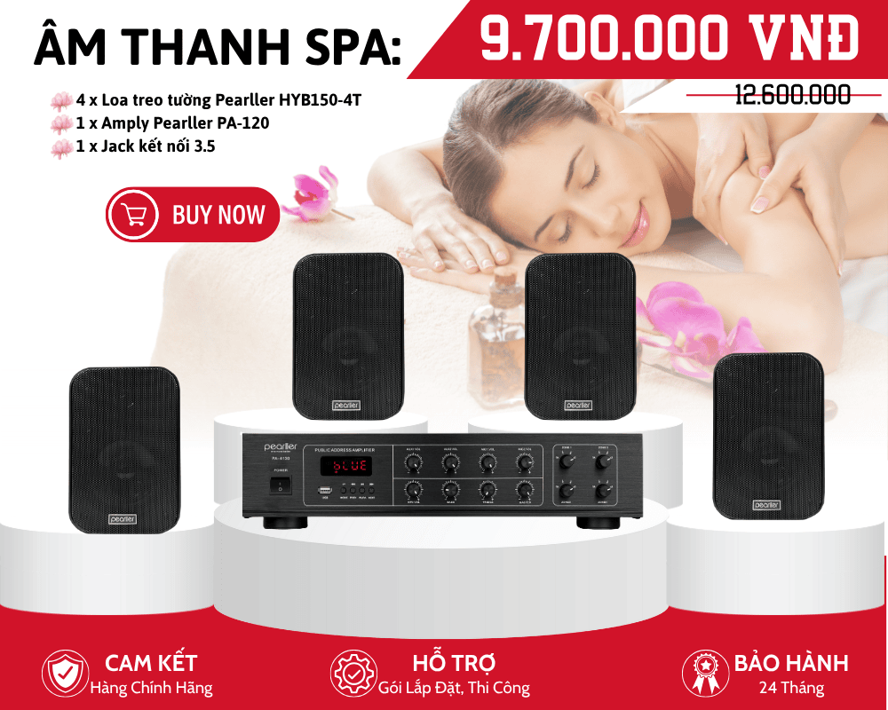bộ loa treo tường nghe nhạc nền hay (1)