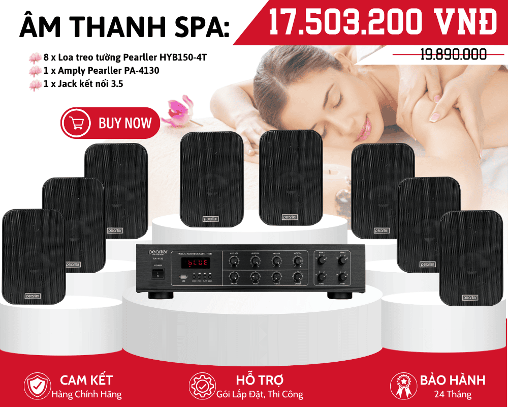 hệ thống loa nghe nhạc spa nhỏ gọn (1)