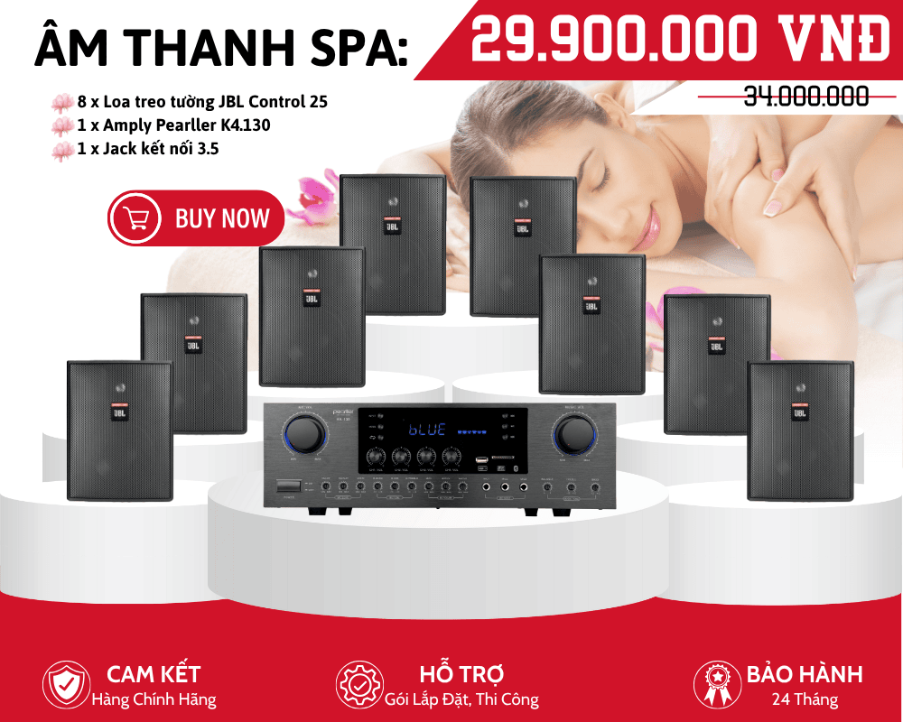 Dàn Loa Treo Tường Nghe Nhạc Spa JBL Control 25 | Phân 4 Vùng Âm Thanh