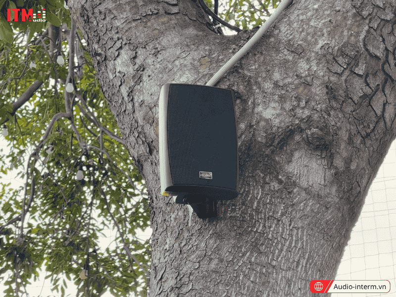loa treo tường hyb125 8t (4)