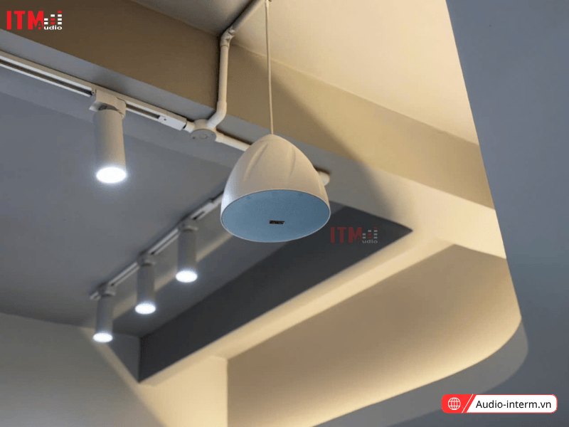 loa treo trần hsr316 5t (2)