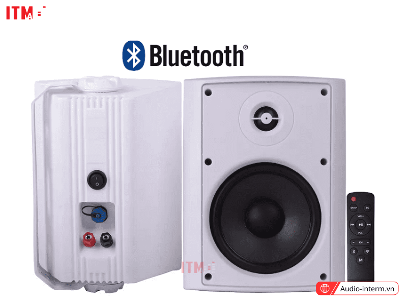 loa treo tường bluetooth hyb106 5bt (2)
